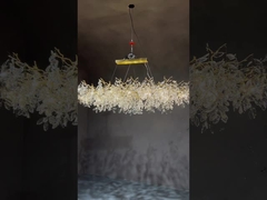 Nhà máy tùy chỉnh cây nhánh Crystal đèn chùm