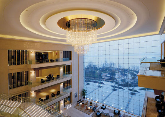 OEM ODM Creative Art Pendant Light cho các địa điểm cao cấp